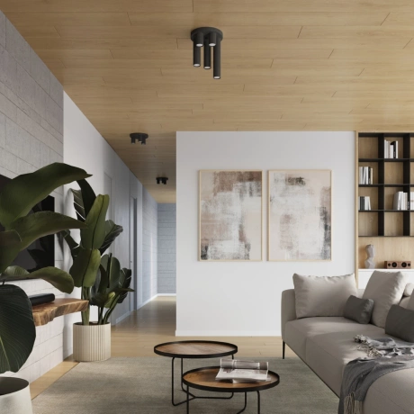 Plafonieră LAGOS 5P alb