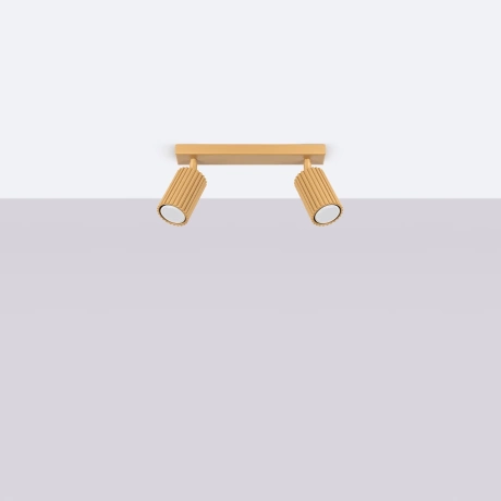 Plafonieră KARBON 2 aur