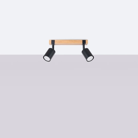 Plafonieră FAGER 2 negru