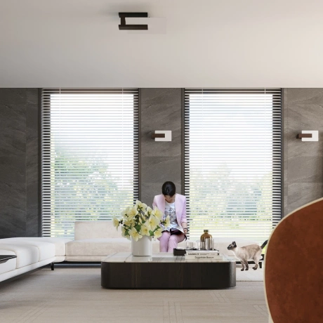 Plafonieră LAPPO wenge