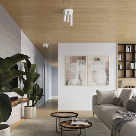 Plafonieră LAGOS 5P alb