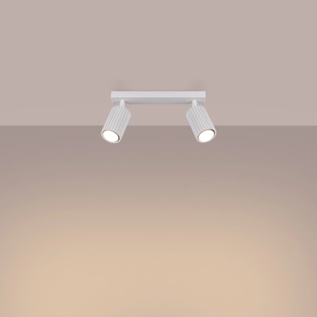 Plafonieră KARBON 2 alb