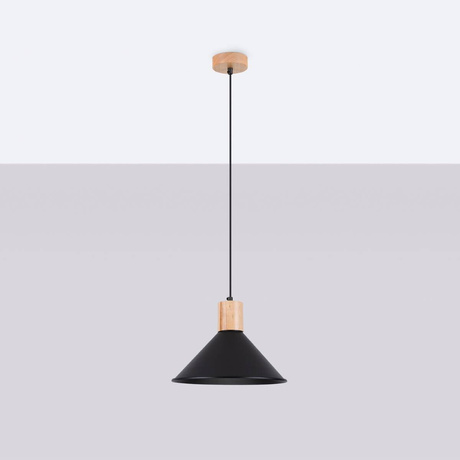 JAGA lampă suspendată negru + 1x bec LED E27 3000K Warm 7.5W 620lm