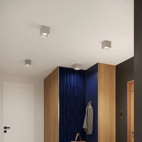 Plafonieră HATI gri