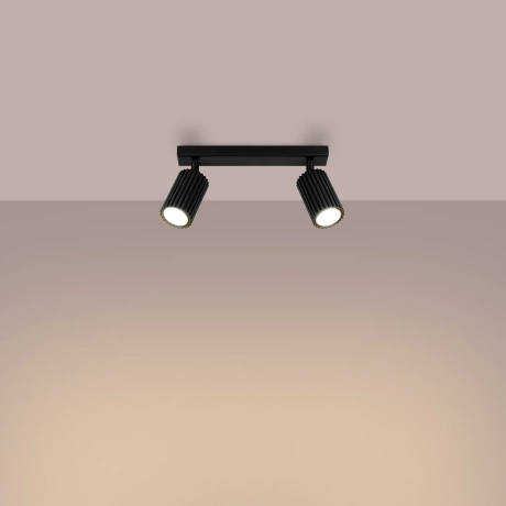 Plafonieră KARBON 2 negru