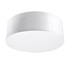 Plafonieră ARENA 25 GREY + 1x bec LED E27 3000K Warm 7.5W 620lm
