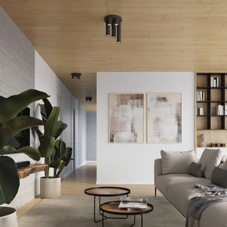 Plafonieră LAGOS 3P negru