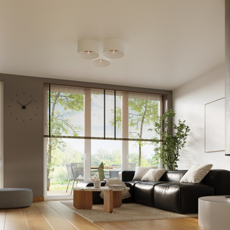 Plafonieră TELESTO alb/maro deschis + 1x bec LED E27 4000K Rece 7.5W 690lm