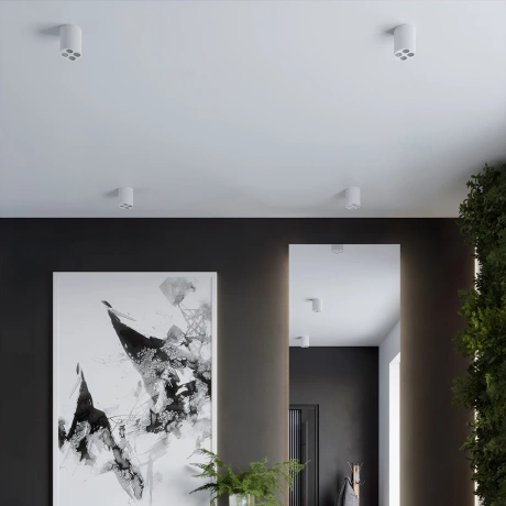 Plafonieră ZOE LED alb