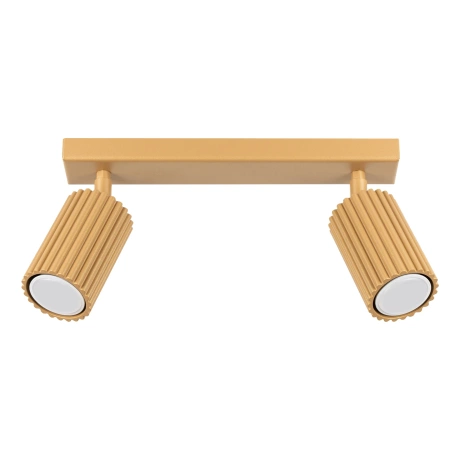 Plafonieră KARBON 2 aur