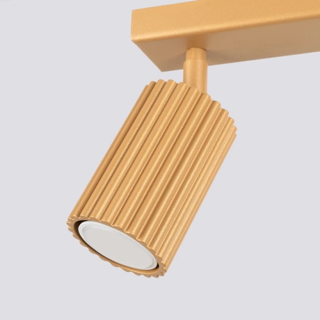 Plafonieră KARBON 2 aur