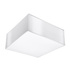 Plafonieră HORUS 25 WHITE + 1x bec LED E27 3000K Warm 7.5W 620lm