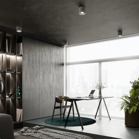 Plafonieră MIKA gri