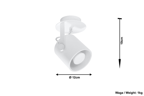 Plafond LAROSA 1 alb