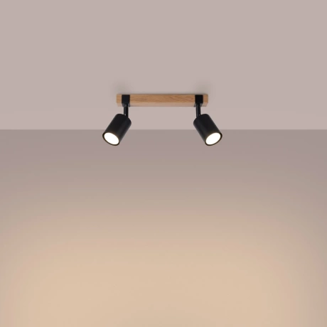 Plafonieră FAGER 2 negru